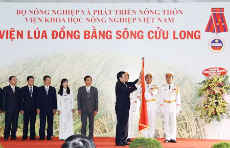 Chủ tịch nước Trương Tấn Sang gắn Huân chương Độc lập hạng Nhất vào lá cờ truyền thống của Viện lúa ĐBSCL.