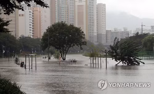 Trận lũ lịch sử làm 130 người chết (Ảnh: Yonhap News)