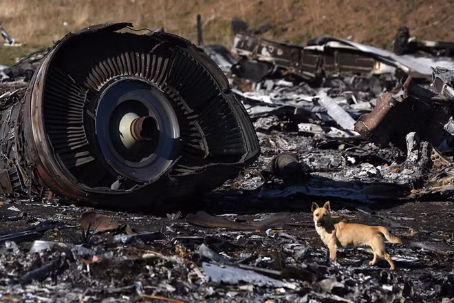 Hiện trường vụ tai nạn MH17 (Ảnh: TASS)