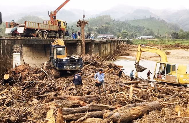 Gỗ rừng trôi về tấp đầy chân cầu Nước Bua.