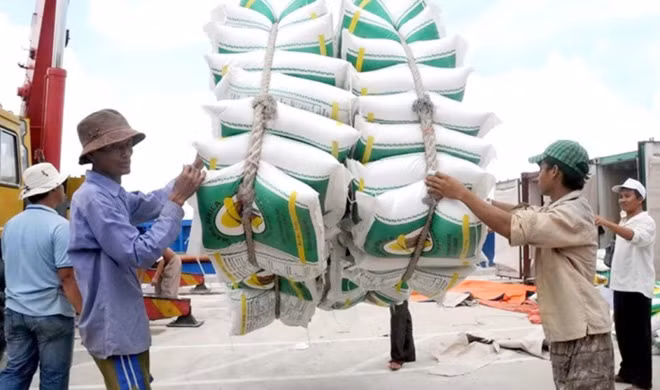 Thị trường EU mở ra cơ hội cho xuất khẩu gạo Việt Nam.