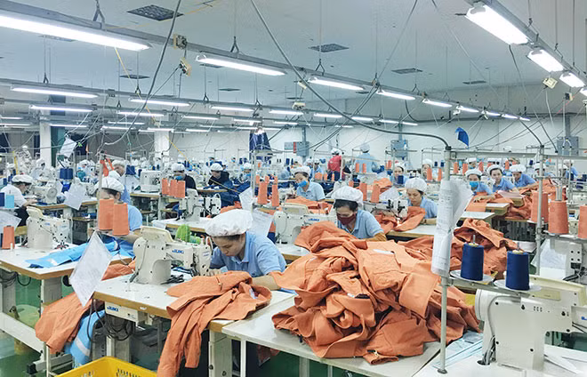 CPTPP và EVFTA được kỳ vọng sẽ có những tác động sâu rộng đến nền kinh tế Việt Nam trong thời gian tới.