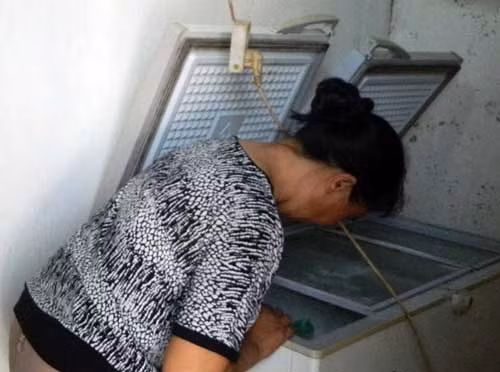 Bà Nếp bên tủ đá đựng xác thai nhi.