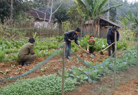 Bùi Văn Hùng (thứ 2 từ trái sang) tích cực lao động, sản xuất.