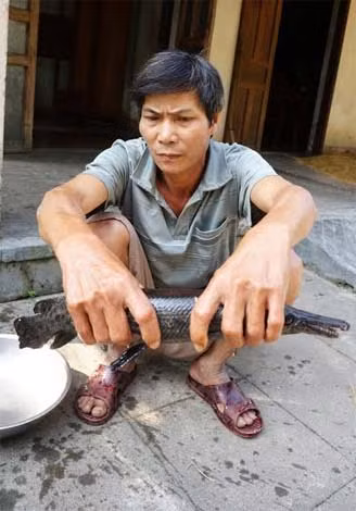 Con cá lạ do ông Đoàn Thành bắt được có thân hình đen lánh…