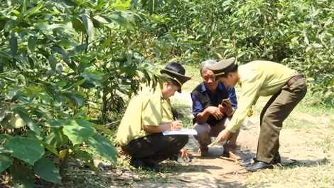 Kiểm lâm Quảng Trị xác định khu vực nghi có 2 cá thể báo hoa mai tấn công, ăn thịt đàn dê và khu vực chúng có thể sinh sống, kiếm ăn nhằm bảo vệ.