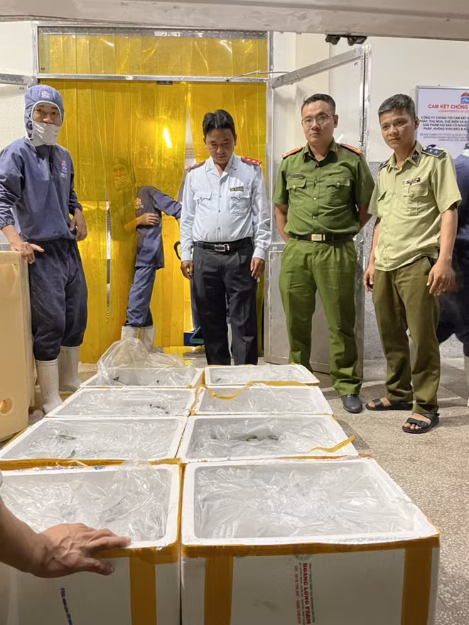 Đoàn kiểm tra thu giữ 100kg tôm có tạp chất.