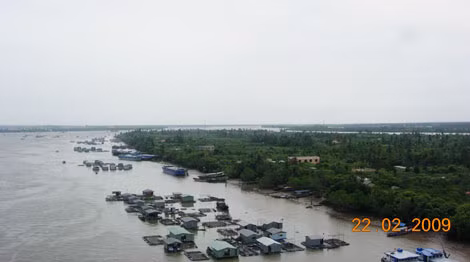 Sông Tiền đoạn chảy qua Mỹ Tho.