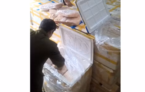 Thịt bò đông lạnh nhập lậu bị thu giữ.