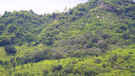 Khu vực Lỗ Buông, nơi được cho là có gấu rừng xuất hiện.