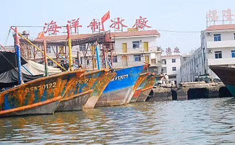 Thời gian gần đây, các tàu cá của Trung Quốc thường xuyên đánh bắt hải sản trái phép ở vùng biển các nước láng giềng. Ảnh: Shinzhao