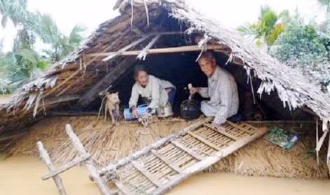 Hãy chung tay ủng hộ đồng bào lũ lụt miền Trung