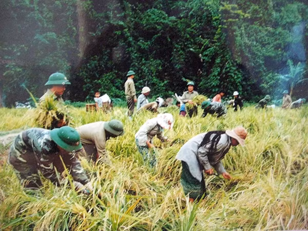 Lực lượng Bộ đội Biên phòng Quảng Bình giúp dân bản làm lúa nước.
