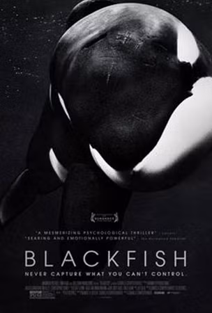 Bộ phim tài liệu Blackfish của đạo diễn Gabriela Cowperthwaite.