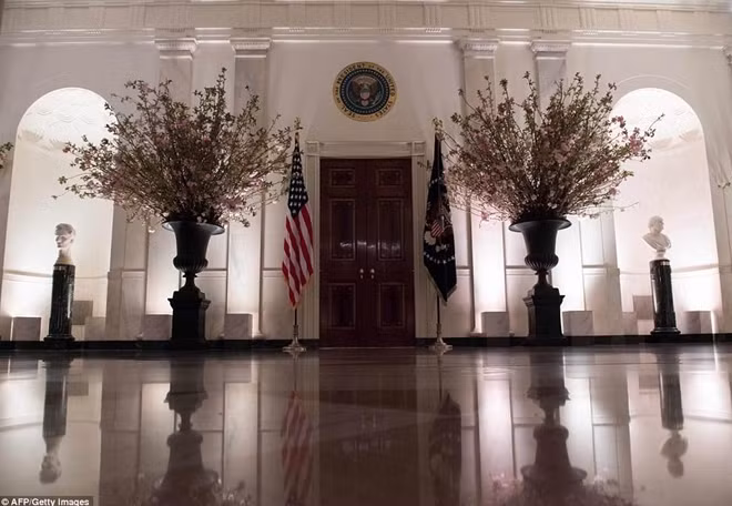 Phía hành lang bên ngoài phòng tiệc, bà Melania đã đặt những bình hoa anh đào khổng lồ để tạo cảm giác tươi mới và nhẹ nhàng khi những vị khách vừa bước chân vào