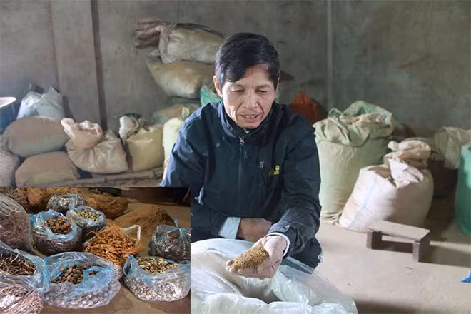 Một số thảo dược sử dụng trong hương Thôn Cao.