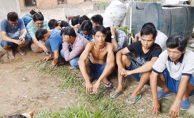 Các đối tượng tham gia đá gà ăn tiền.