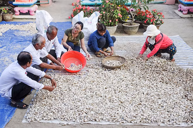 Các vị có uy tín trong Tộc họ Nguyễn Quang kể cho tác giả về triển khai phong trào bảo vệ an ninh Tổ quốc và cách sản xuất, thu hoạch đặc sản Tỏi.
