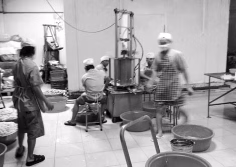 Mỡ heo được tái chế ngâm hóa chất làm lạp xường được lực lượng chức năng phát hiện tại huyện Bình Chánh.