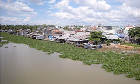 Thượng nguồn sông Vàm Cỏ Đông.