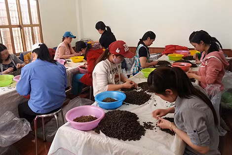 Hoạt động sản xuất của Công ty TNHH Hà Linh vẫn diễn ra bình thường.