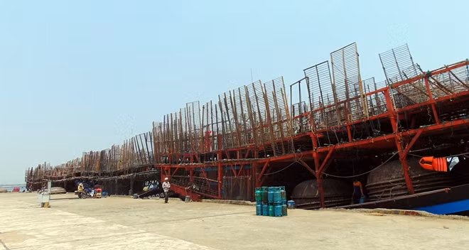 Tàu câu mực neo đậu tại cảng An Hòa, huyện Núi Thành (Ảnh minh họa).