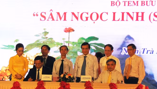 Dịp này, đại diện lãnh đạo chính quyền tỉnh Quảng Nam và đại diện Bộ TT&TT đã ký kết biên bản phát hành bộ tem đặc biệt về sâm núi Ngọc Linh.