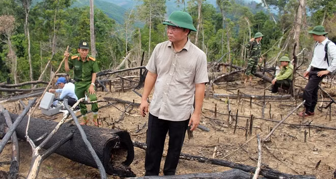 Ông Lê Trí Thanh thị sát hiện trường vụ phá rừng tại xã Tiên Lãnh.