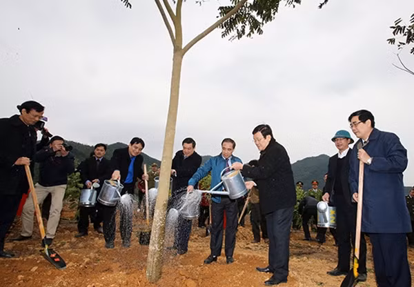 Chủ tịch nước Trương Tấn Sang và các đại biểu tham gia trồng cây. Ảnh: TTXVN