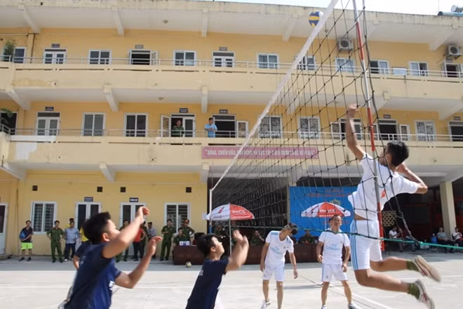 Các đội tuyển tham gia tranh tài