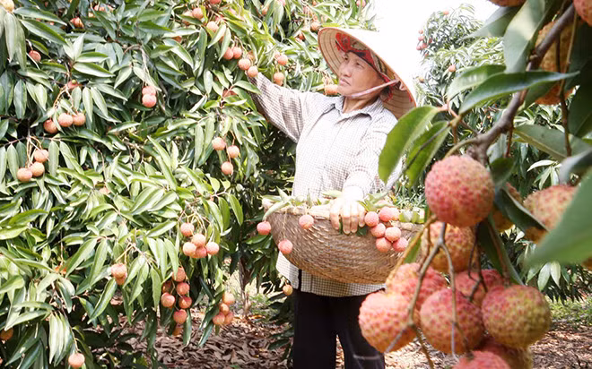 Tranh thủ cuộc CMCN 4.0 là con đường ngắn nhất đưa đất nước đi lên hiện đại và thịnh vượng.