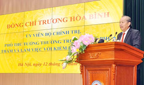 Phó Thủ tướng TT Trương Hòa Bình phát biểu tại buổi làm việc.