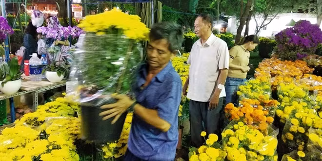 Mặc dù giá cả hợp lý nhưng người tìm đến chợ hoa mua bông rất ít