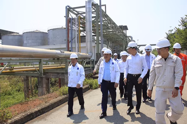 Lãnh đạo PVN kiểm tra tình hình Nhà máy NLSH Bình Phước.
