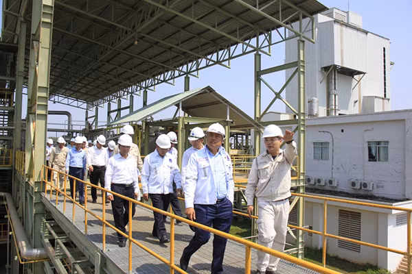 Lãnh đạo PVN kiểm tra tình hình nhà máy.
