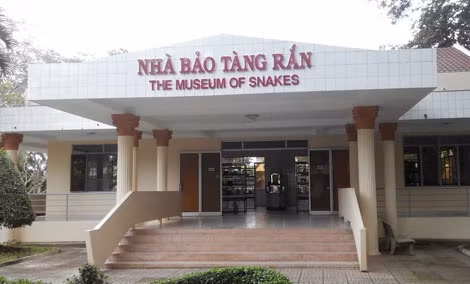 Bảo tàng rắn.