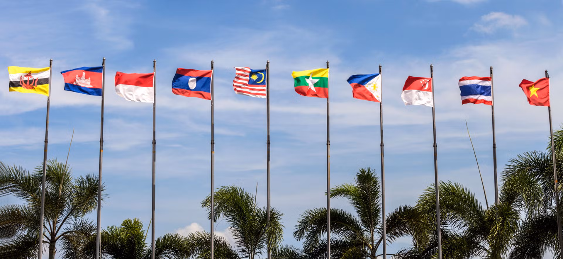 Dấu ấn Việt Nam trong Năm Chủ tịch ASEAN 2020 ảnh 25
