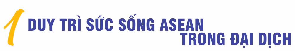 Dấu ấn Việt Nam trong Năm Chủ tịch ASEAN 2020 ảnh 4