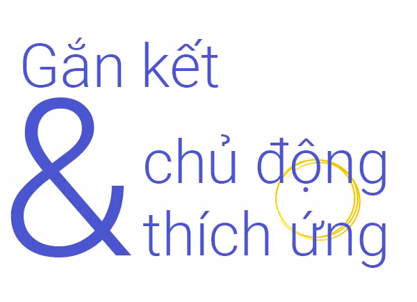 Dấu ấn Việt Nam trong Năm Chủ tịch ASEAN 2020 ảnh 6