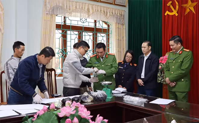 Lực lượng chức năng tiến hành kiểm đếm, giám định đối với 6,5kg thuốc phiện tang vật.