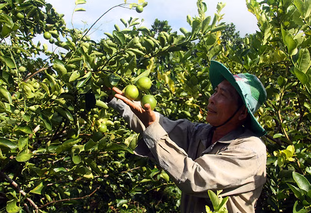 Xác định sản phẩm đặc thù của địa phương là cần thiết để nâng cao chuỗi giá trị thực phẩm.