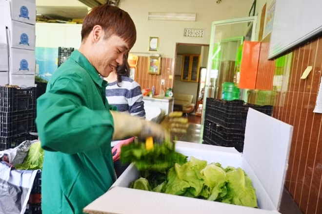 Với dàn trồng rau thủy canh hai tầng hiện đại, sạch sẽ và công nghệ trồng rau tự động, đây là doanh nghiệp tiên phong trong việc nâng cao năng suất rau Đà Lạt bằng cách làm mới lạ.