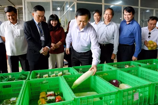 Phó Thủ tướng Vương Đình Huệ thăm HTX nông nghiệp Tiến Huy