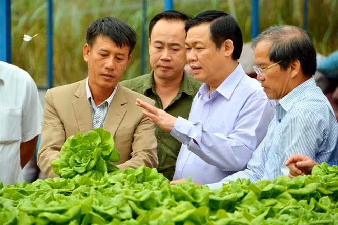 Phó Thủ tướng Vương Đình Huệ thăm HTX dịch vụ nông nghiệp tổng hợp Tân Tiến