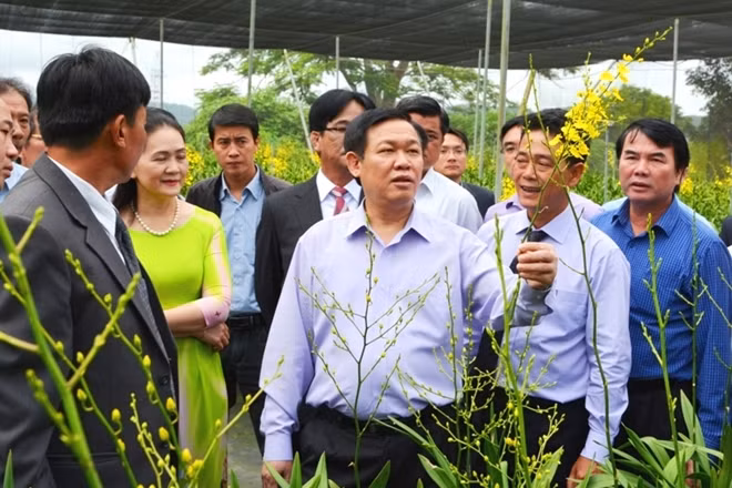 Phó Thủ tướng Vương Đình Huệ thăm trang trại trồng hoa lan vũ nữ của Công ty TNHH Hoa Mặt Trời