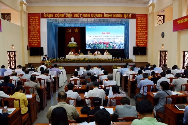 Các đại biểu tham dự hội nghị