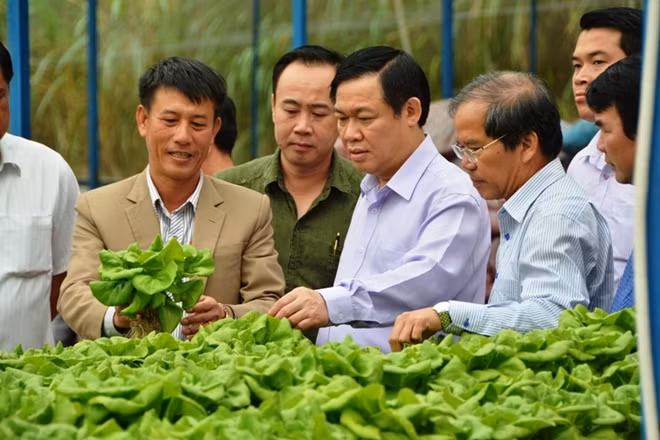 Trước đó, Phó Thủ tướng đã đi thăm một số mô hình hoạt động của HTX tại Lâm Đồng