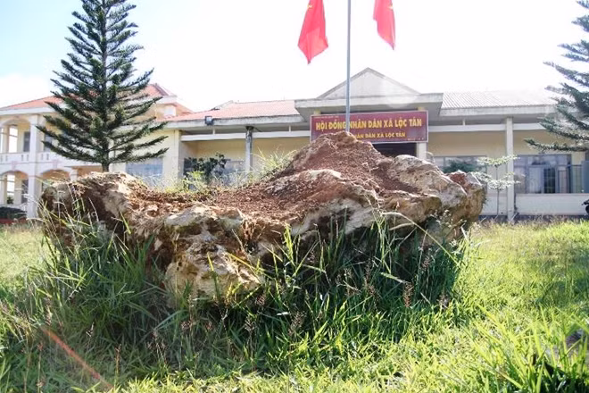 Khối đá bán quý này sẽ được bàn giao cho khu dự trữ sinh quyển thế giới Langbiang.