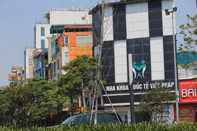 Một vài cây có biểu hiện chết khô.