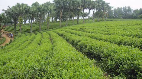 Nhiều tỷ đồng tài sản công đang bị sử dụng lãng phí?